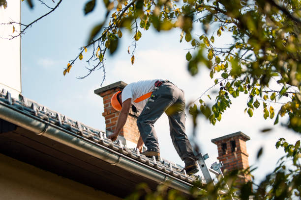 Best Flat Roof Repair Services  in , MS